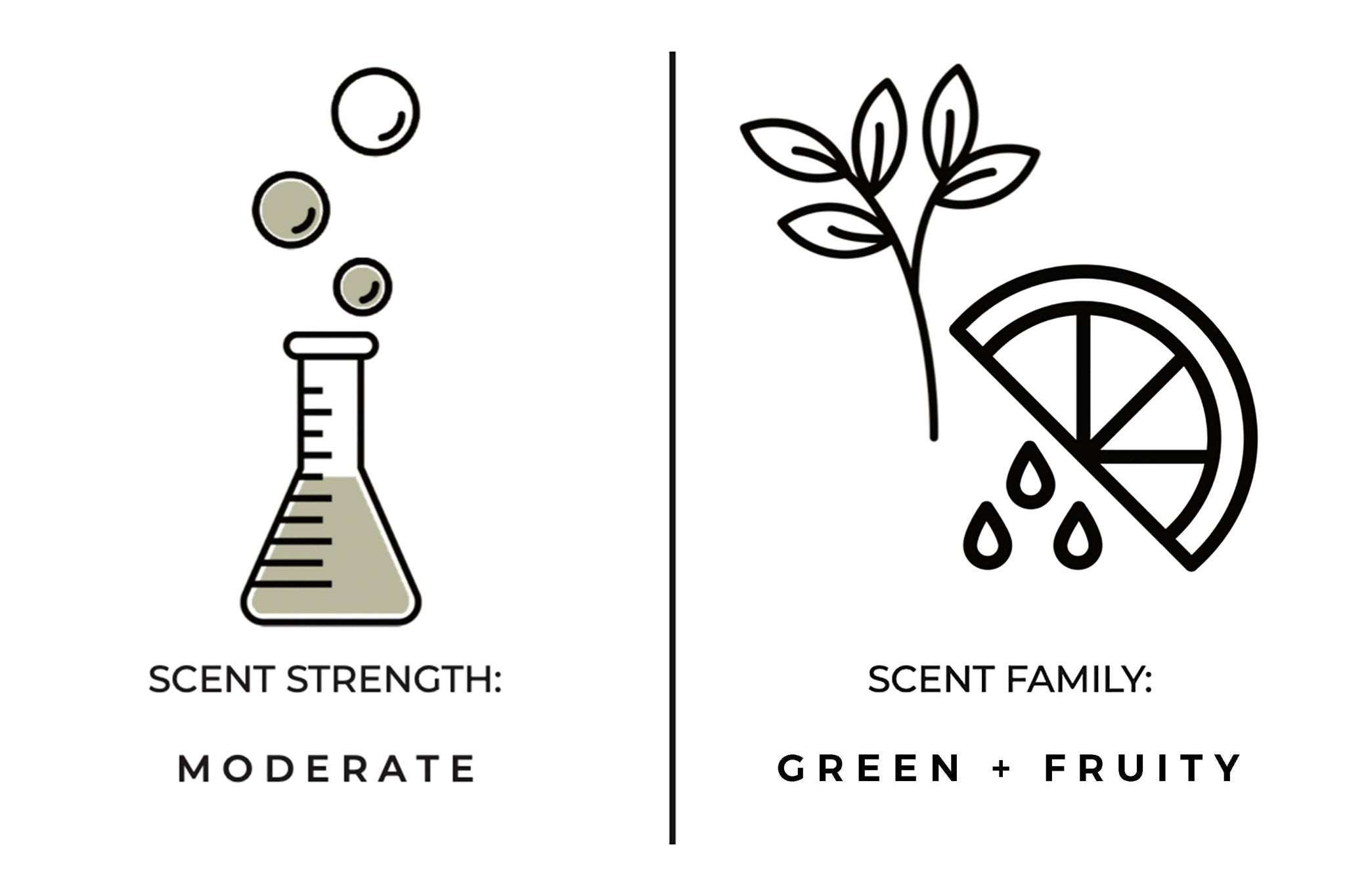 True Hue - Thief In The Garden Candle - The Look and Co