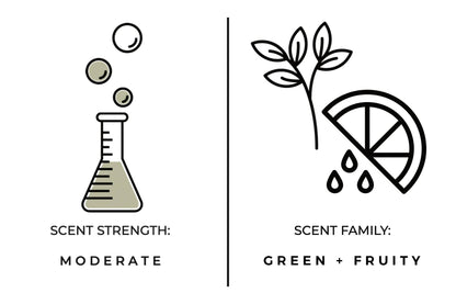 True Hue - Thief In The Garden Candle - The Look and Co