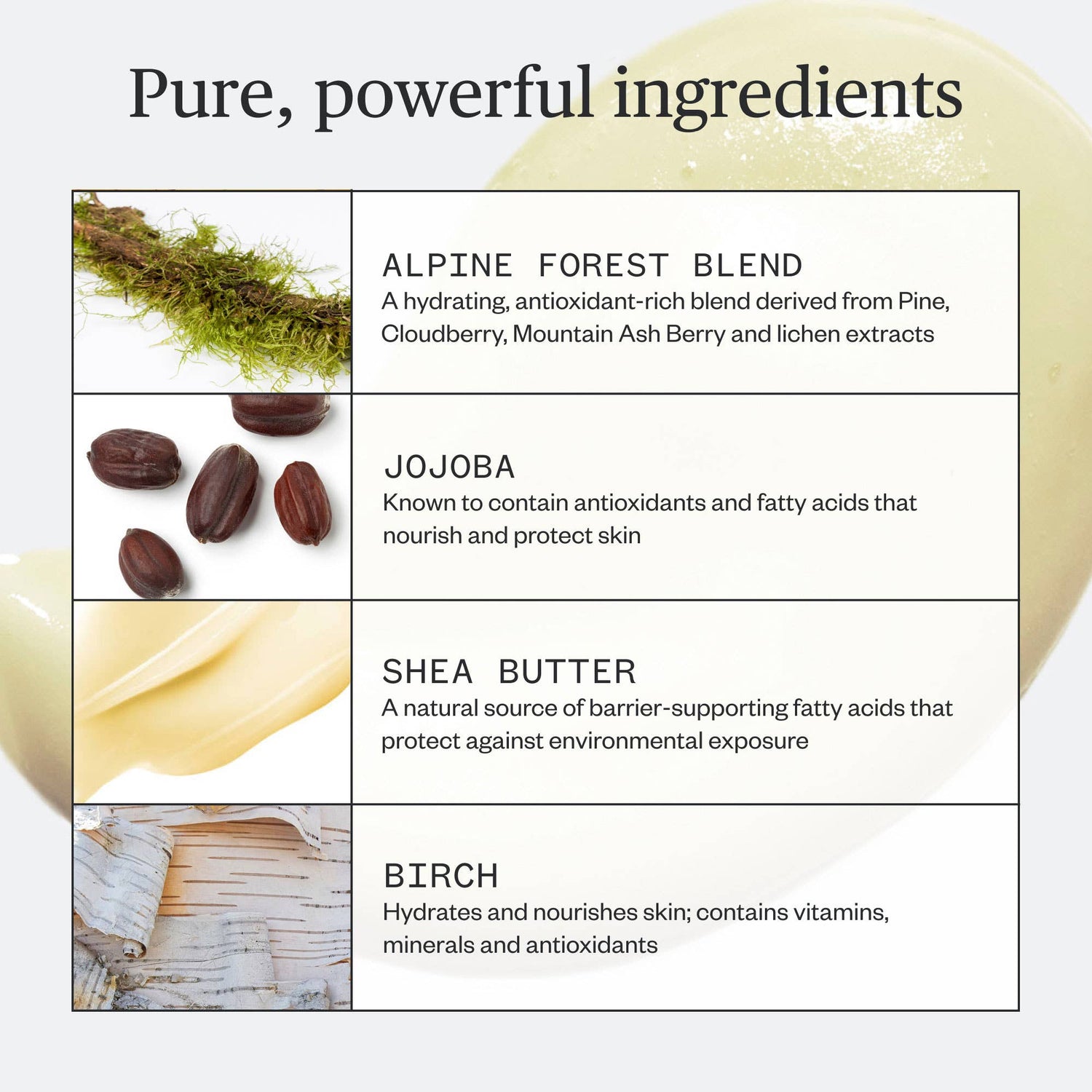 Ursa Major - Botanic Buzz Hand Cream - The Look and Co