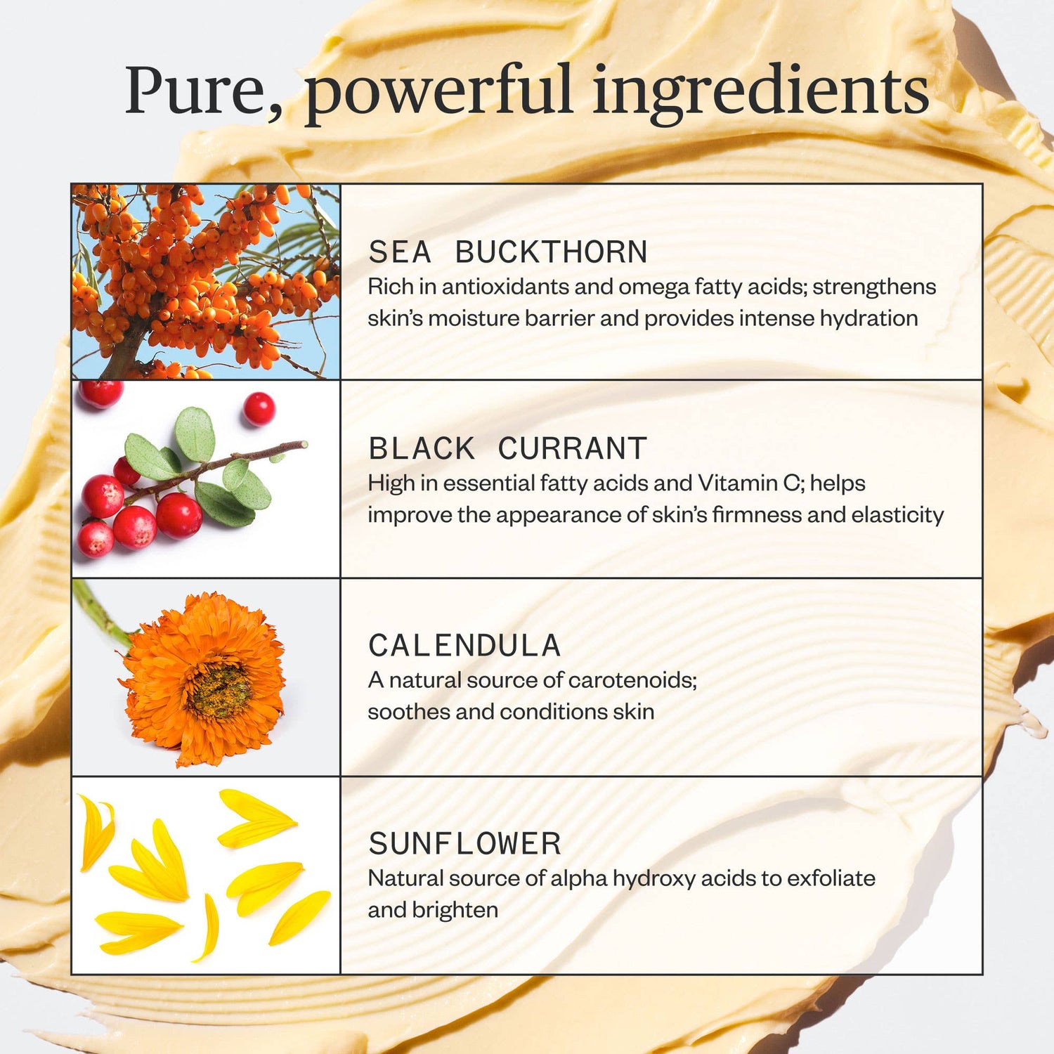 Ursa Major - Golden Hour Recovery Cream - The Look and Co