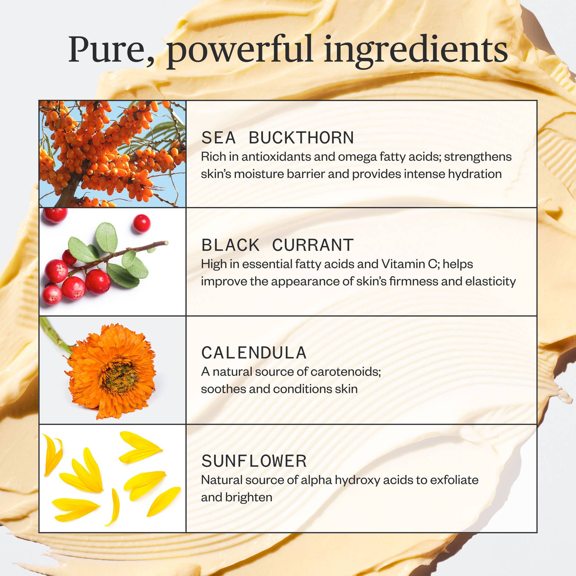 Ursa Major - Golden Hour Recovery Cream - The Look and Co