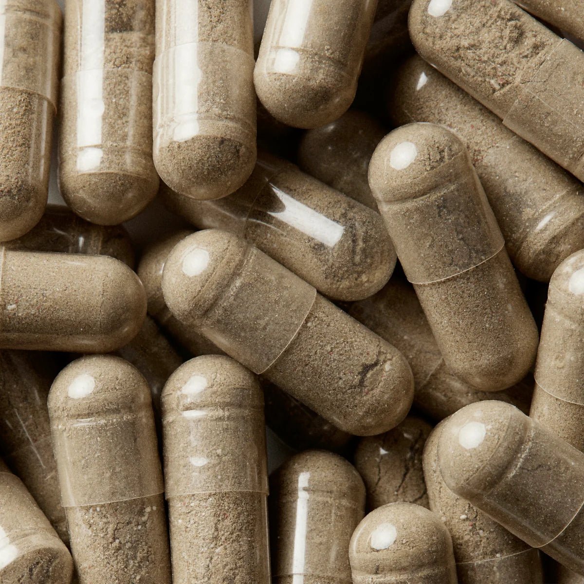 Wellbel Women - The Look and Co