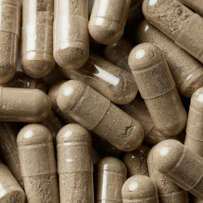 Wellbel Women - The Look and Co